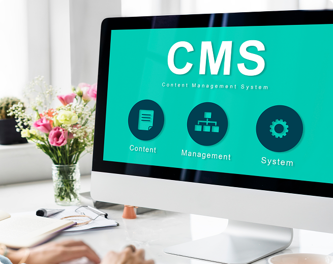 Developer working on CMS backend